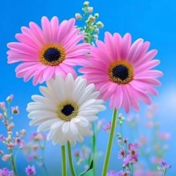 flowerher101